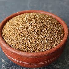 Kodo Millet Seeds - Traditional and Natural Seeds